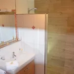 Scheiber Apartment Leogang