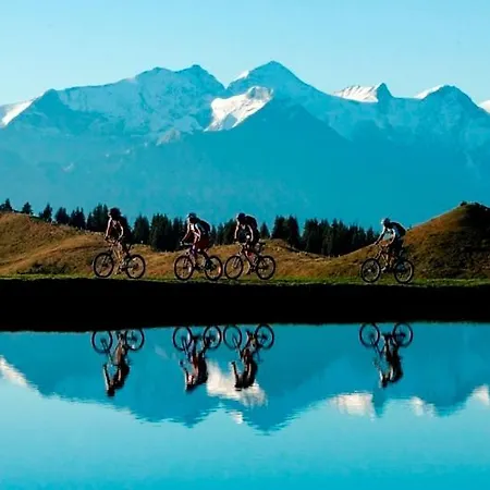 Scheiber Daire Leogang