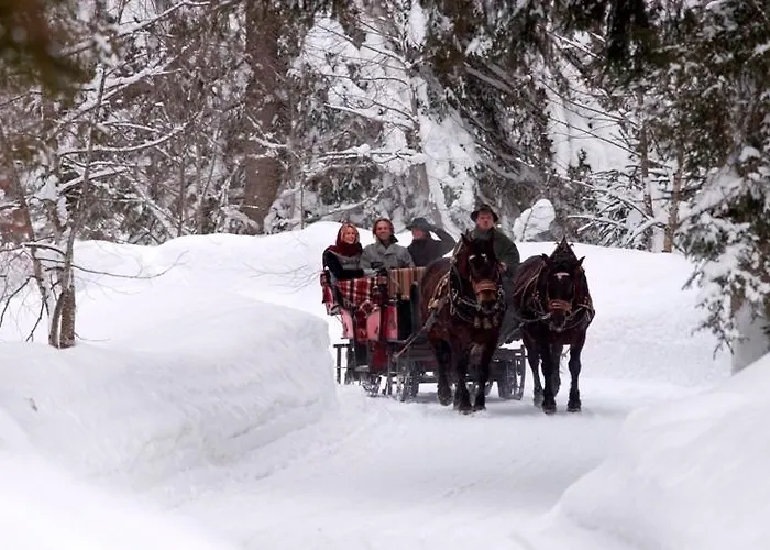 Scheiber Apartament *