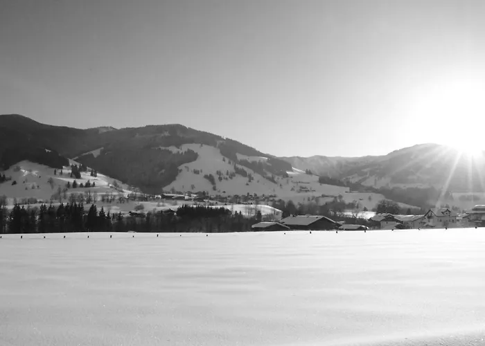 Scheiber Apartament *